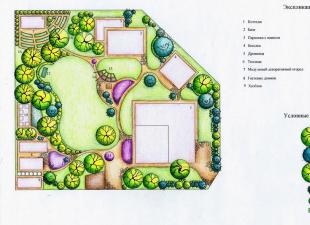 Do-it-yourself beautiful courtyard of a private house How to effectively compose recreation areas